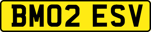 BM02ESV