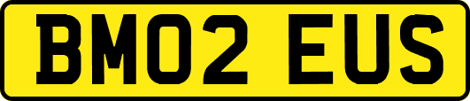 BM02EUS