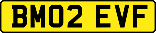 BM02EVF
