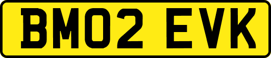 BM02EVK