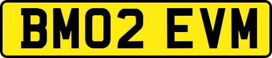 BM02EVM