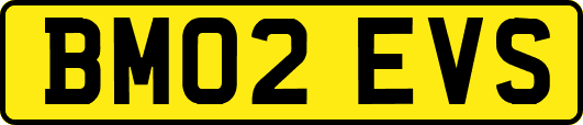 BM02EVS