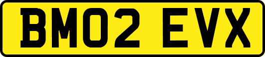 BM02EVX