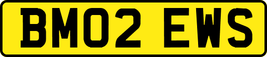 BM02EWS