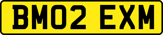 BM02EXM
