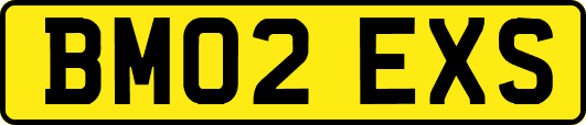 BM02EXS