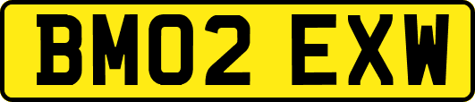 BM02EXW
