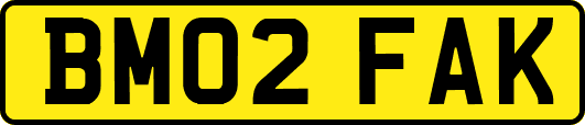 BM02FAK