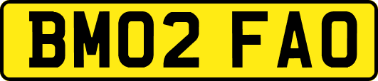 BM02FAO