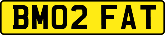 BM02FAT