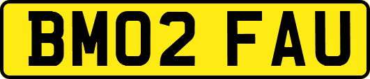 BM02FAU