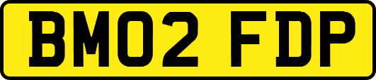 BM02FDP