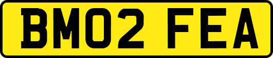 BM02FEA