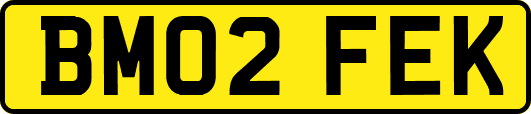 BM02FEK