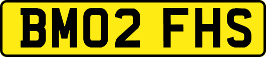 BM02FHS