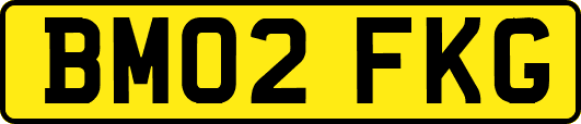 BM02FKG