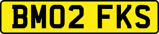 BM02FKS