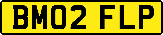 BM02FLP