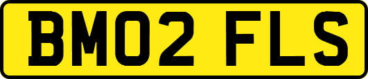 BM02FLS