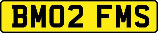 BM02FMS