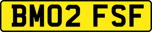 BM02FSF
