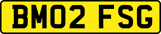 BM02FSG