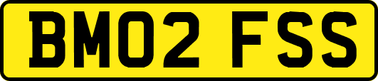 BM02FSS