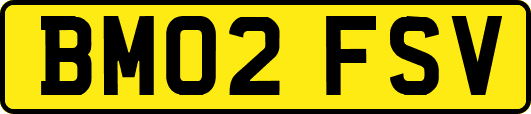 BM02FSV