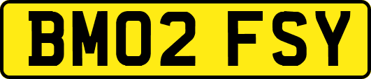 BM02FSY