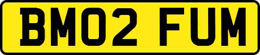 BM02FUM