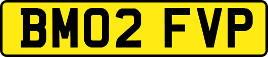 BM02FVP
