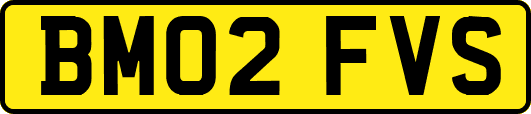 BM02FVS
