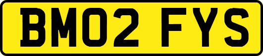 BM02FYS