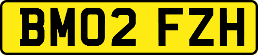 BM02FZH
