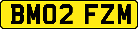 BM02FZM