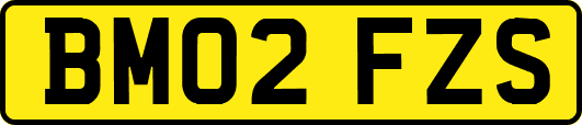 BM02FZS