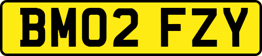 BM02FZY