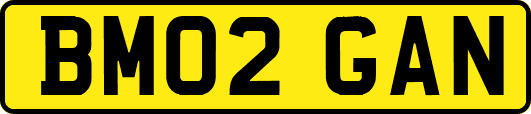 BM02GAN