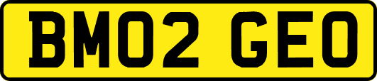 BM02GEO