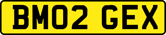 BM02GEX