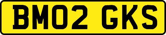 BM02GKS