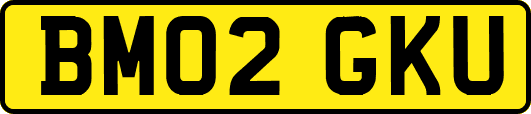 BM02GKU