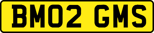 BM02GMS