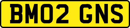 BM02GNS
