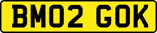 BM02GOK