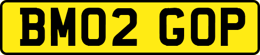 BM02GOP