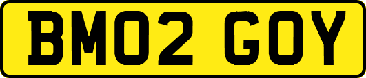 BM02GOY