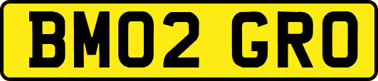 BM02GRO