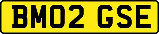 BM02GSE