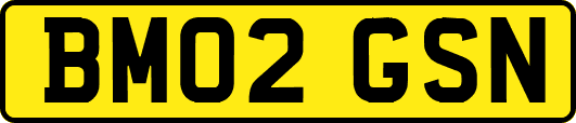 BM02GSN
